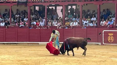 toros en toro _10