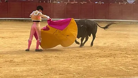 toros en toro _11