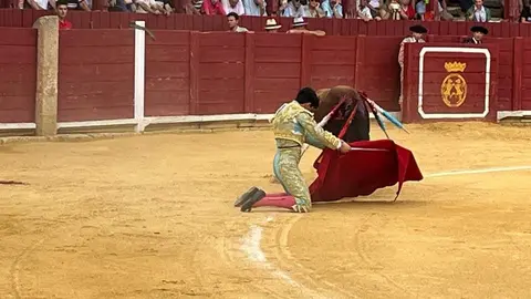 toros en toro _12
