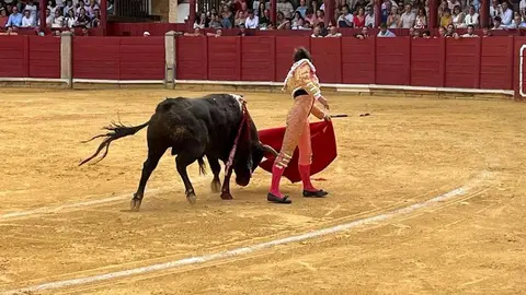 toros en toro _13