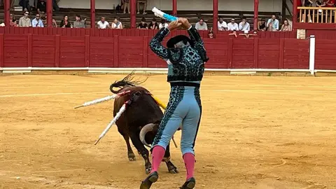 toros en toro _15