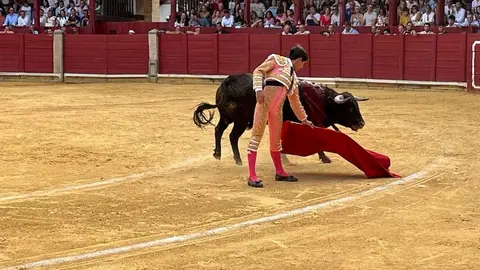 toros en toro _16