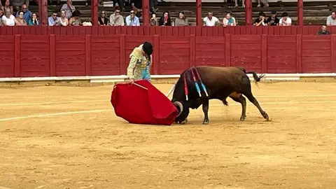 toros en toro _19
