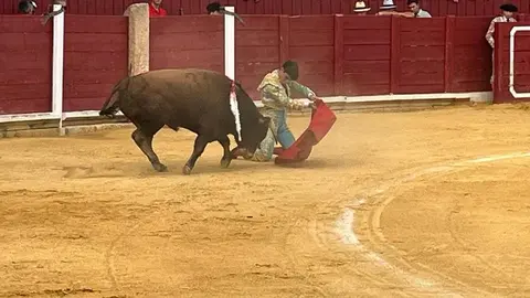 toros en toro _22