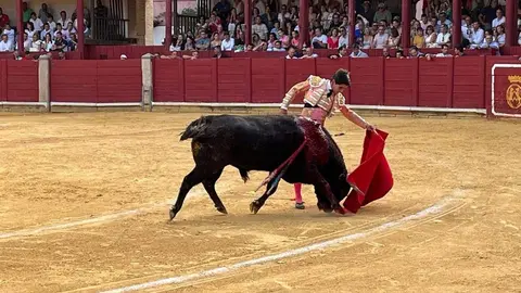 toros en toro _26