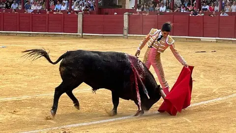 toros en toro _29