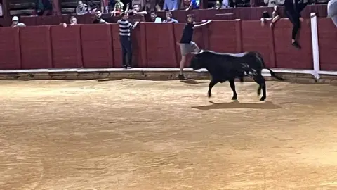 fuente del vino toro_3