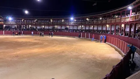 fuente del vino toro_6