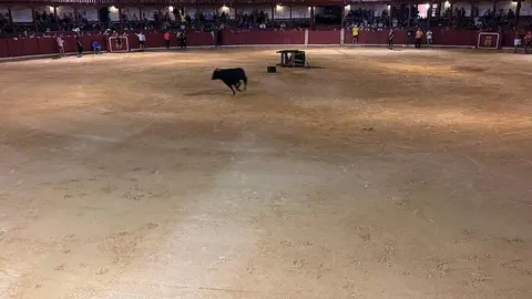 fuente del vino toro_7
