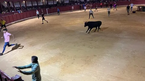 fuente del vino toro_8