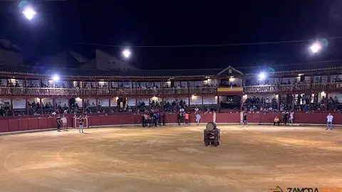 fuente del vino toro_10