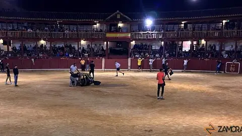 fuente del vino toro_11