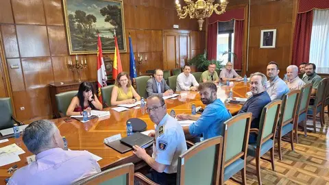 Comisión de Seguimiento