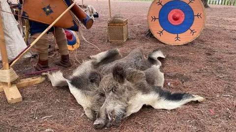 primera recreación histórica Suevo-Visigoda en Valorio_6