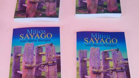 DIA DE LA COMARCA SAYAGO 2024 (18)