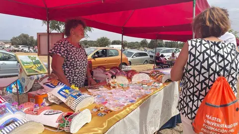 DIA DE LA COMARCA SAYAGO 2024 (20)