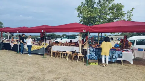 DIA DE LA COMARCA SAYAGO 2024 (21)