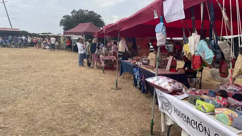 DIA DE LA COMARCA SAYAGO 2024 (28)