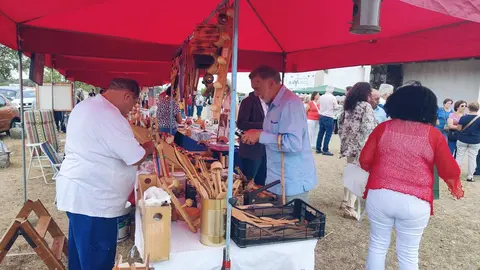 DIA DE LA COMARCA SAYAGO 2024 (29)