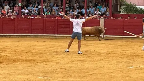 toro del cajón toro 2024_7