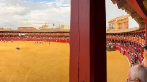toro del cajón toro 2024_10
