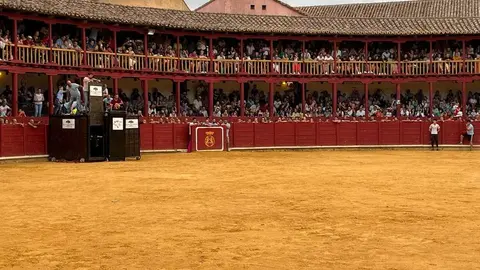 toro del cajón toro 2024_11