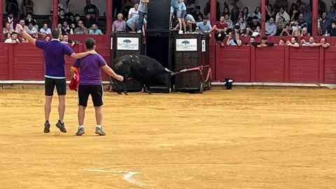 toro del cajón toro 2024_12