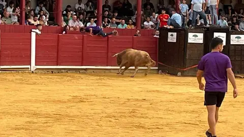 toro del cajón toro 2024_13