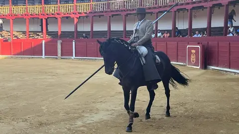 caballos toro _2