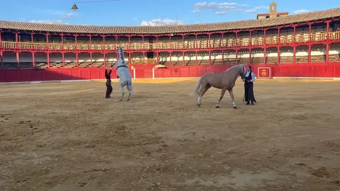 cec3c253-7695-4887-b13a-5ad4d762dfe8