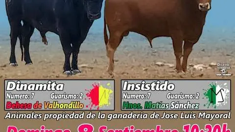 encierro campero Villanueva del Campo