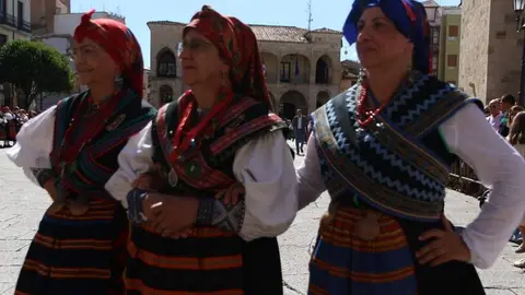 ofrenda floral Virgen de la Concha _9