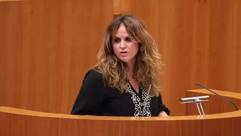 La viceportavoz del Grupo Socialista en las Cortes de Castilla y León, Patricia Gómez