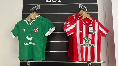 equipación Zamora CF