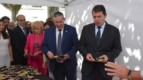 Ambiente FromagoCheeseExperience_18