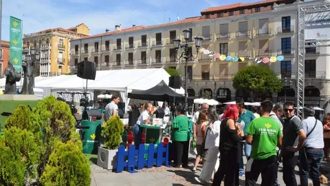 Ambiente FromagoCheeseExperience_61