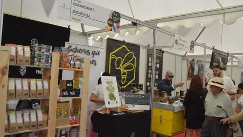 Ambiente FromagoCheeseExperience_84