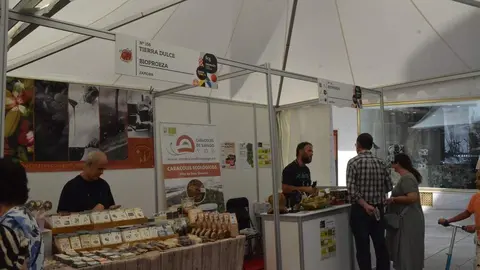 Ambiente FromagoCheeseExperience_86