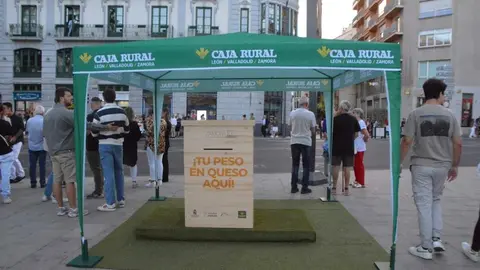 Ambiente FromagoCheeseExperience_23