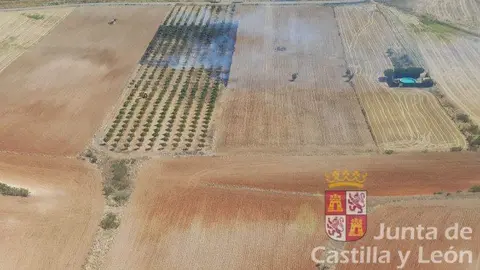 Incendio Torres del Carrizal