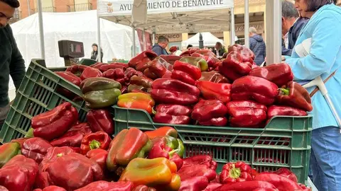 Feria del Pimiento en Benavente