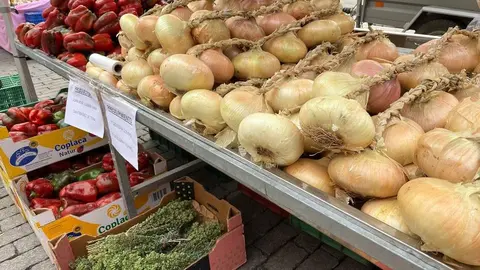 Feria del Pimiento en Benavente_3