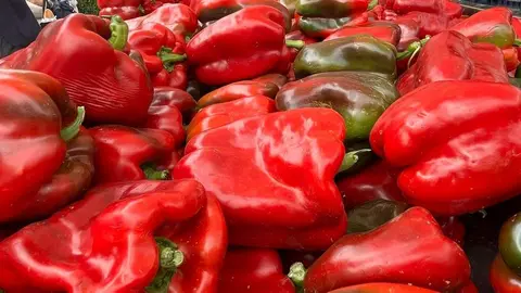 Feria del Pimiento en Benavente_7