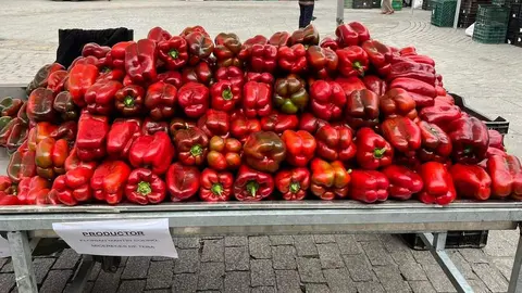 Feria del Pimiento en Benavente_8
