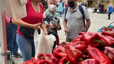 Feria del Pimiento en Benavente_11