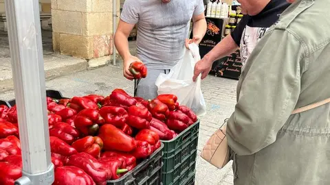 Feria del Pimiento en Benavente_14