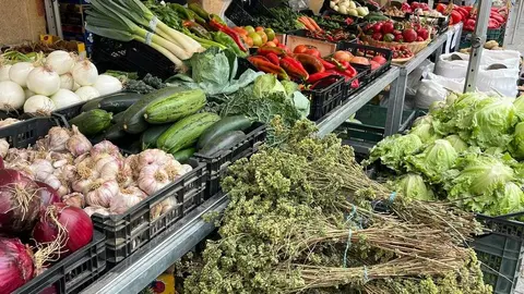 Feria del Pimiento en Benavente_15