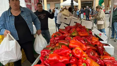 Feria del Pimiento en Benavente_17