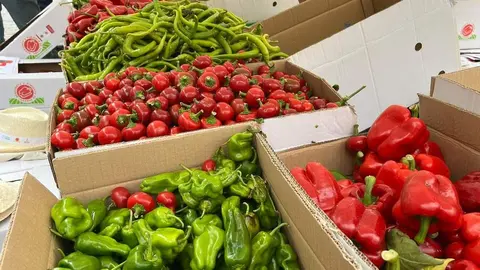 Feria del Pimiento en Benavente_20