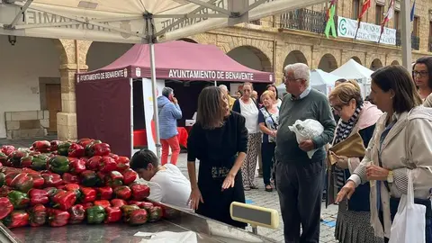 Feria del Pimiento en Benavente_22